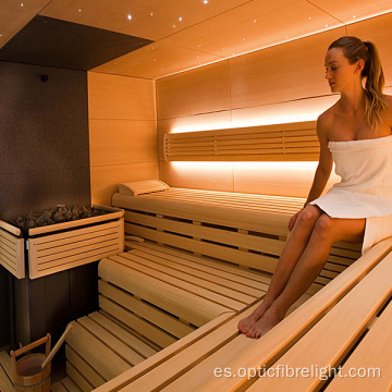 Iluminación LED con barra de fibra para sauna